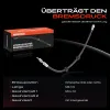 Bremsschlauch Hinterachse beidseitig Frankberg 5481FB0004714 Bild Bremsschlauch Hinterachse beidseitig Frankberg 5481FB0004714