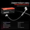 Bremsschlauch Hinterachse Mitte Frankberg 5481FB0004726 Bild Bremsschlauch Hinterachse Mitte Frankberg 5481FB0004726