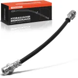 Bremsschlauch Hinterachse beidseitig Frankberg 5481FB0004746