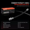 Bremsschlauch Hinterachse beidseitig Frankberg 5481FB0004746 Bild Bremsschlauch Hinterachse beidseitig Frankberg 5481FB0004746