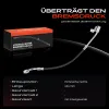 Bremsschlauch Hinterachse rechts Frankberg 5481FB0004811 Bild Bremsschlauch Hinterachse rechts Frankberg 5481FB0004811