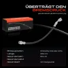Bremsschlauch Hinterachse beidseitig Frankberg 5481FB0004847 Bild Bremsschlauch Hinterachse beidseitig Frankberg 5481FB0004847