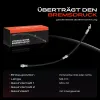 Bremsschlauch Hinterachse beidseitig Frankberg 5481FB0004895 Bild Bremsschlauch Hinterachse beidseitig Frankberg 5481FB0004895