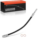 Bremsschlauch Hinterachse beidseitig Frankberg 5481FB0004912