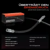 Bremsschlauch Hinterachse beidseitig Frankberg 5481FB0004912 Bild Bremsschlauch Hinterachse beidseitig Frankberg 5481FB0004912