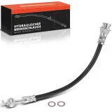 Bremsschlauch Hinterachse beidseitig Frankberg 5481FB0004921