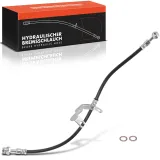 Bremsschlauch Vorderachse links Frankberg 5481FB0004939