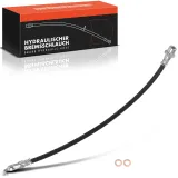 Bremsschlauch Hinterachse beidseitig Frankberg 5481FB0004962