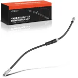 Bremsschlauch Vorderachse beidseitig Frankberg 5481FB0004965