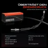 Bremsschlauch Hinterachse beidseitig Frankberg 5481FB0004969 Bild Bremsschlauch Hinterachse beidseitig Frankberg 5481FB0004969