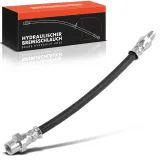 Bremsschlauch Hinterachse beidseitig Frankberg 5481FB0004987