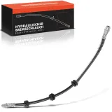 Bremsschlauch Hinterachse beidseitig Frankberg 5481FB0005006