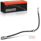 Bremsschlauch Vorderachse links Frankberg 5481FB0005016