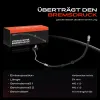 Bremsschlauch Vorderachse rechts Frankberg 5481FB0005021 Bild Bremsschlauch Vorderachse rechts Frankberg 5481FB0005021
