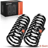 Fahrwerksfeder Hinterachse Frankberg 5481FB0008873