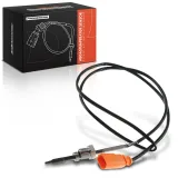 Sensor, Abgastemperatur Frankberg 5481FB0011657