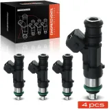 Einspritzventil Frankberg 5481FB0012545