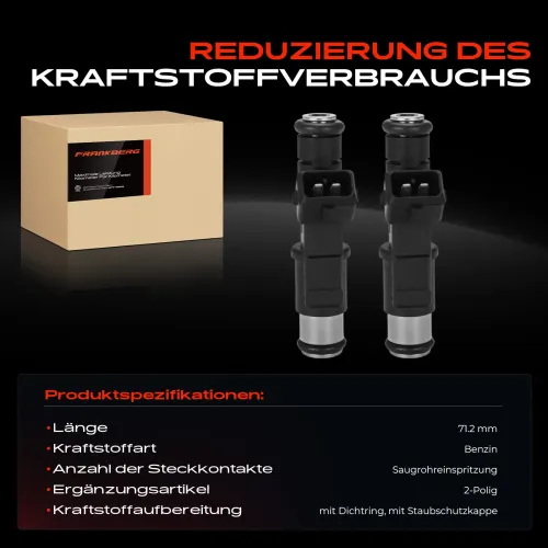 Einspritzventil Frankberg 5481FB0012548 Bild Einspritzventil Frankberg 5481FB0012548