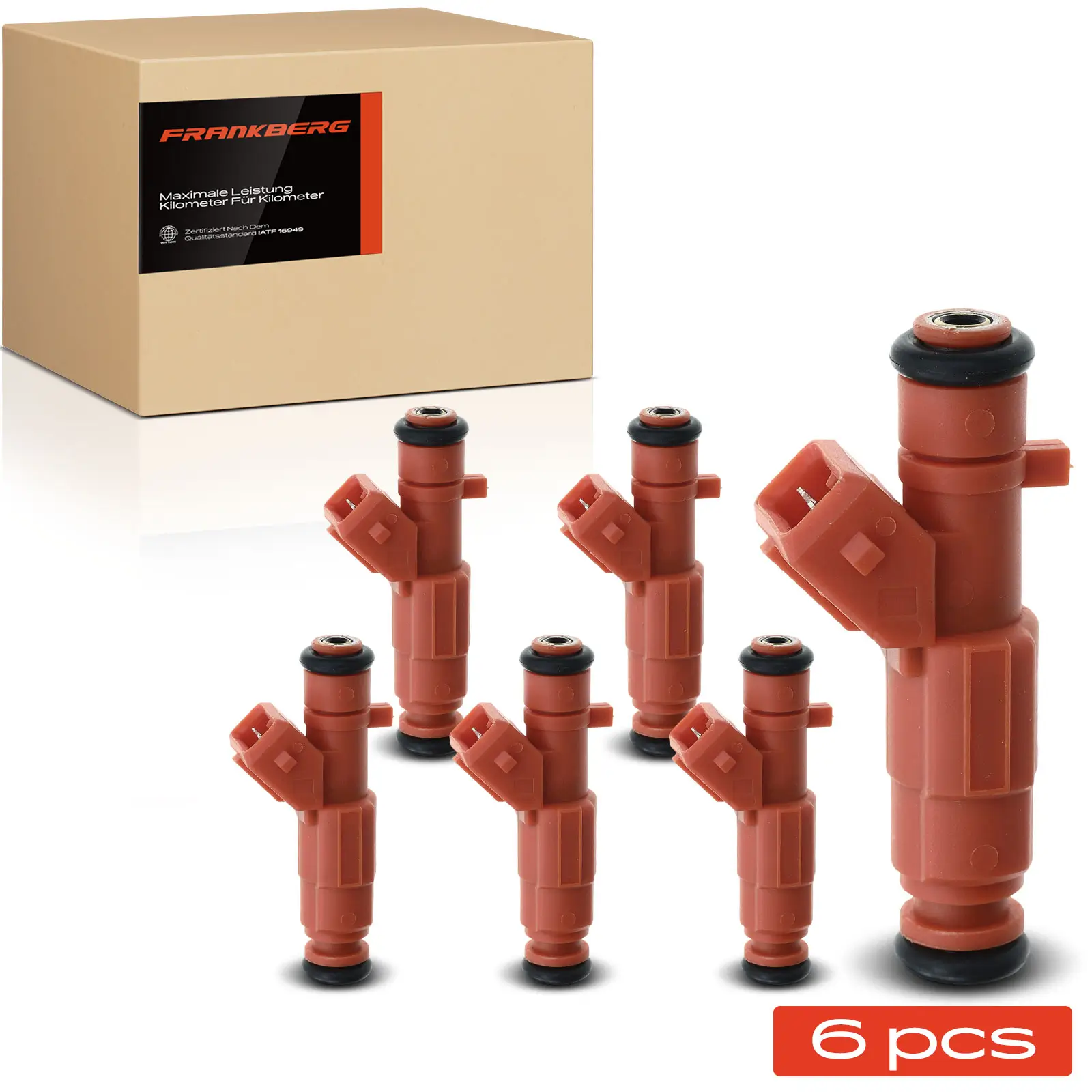 Einspritzventil Frankberg 5481FB0012555