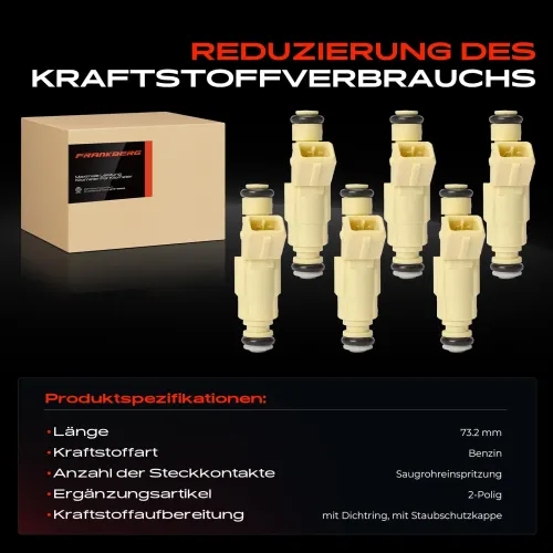 Einspritzventil Frankberg 5481FB0012557 Bild Einspritzventil Frankberg 5481FB0012557