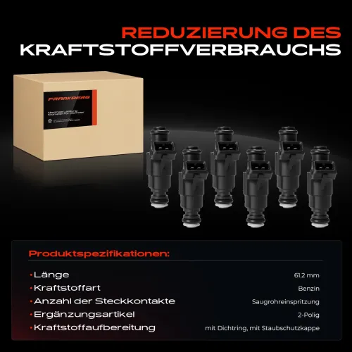 Einspritzventil Frankberg 5481FB0012595 Bild Einspritzventil Frankberg 5481FB0012595