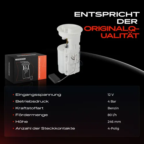 Kraftstoffpumpe 12 V Frankberg 5481FB0012973 Bild Kraftstoffpumpe 12 V Frankberg 5481FB0012973