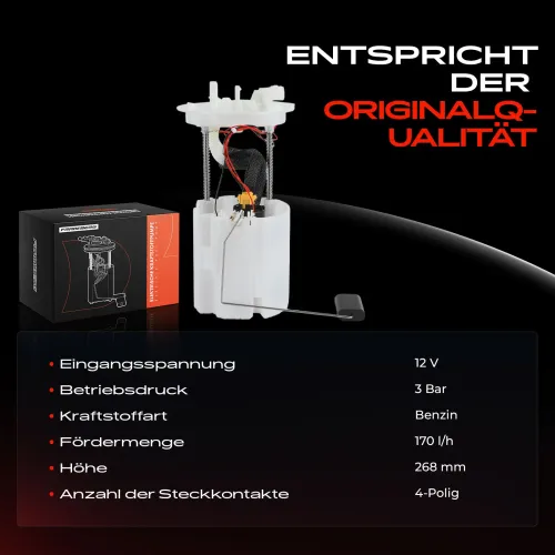 Kraftstoffpumpe 12 V Frankberg 5481FB0013035 Bild Kraftstoffpumpe 12 V Frankberg 5481FB0013035