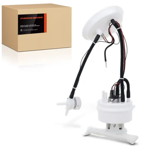 Kraftstoffpumpe 12 V Frankberg 5481FB0013062 Bild Kraftstoffpumpe 12 V Frankberg 5481FB0013062