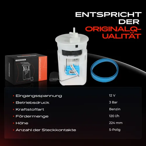 Kraftstoffpumpe 12 V Frankberg 5481FB0013116 Bild Kraftstoffpumpe 12 V Frankberg 5481FB0013116