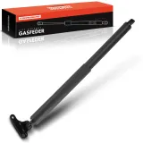Gasfeder, Koffer-/Laderaum Fahrzeugheckklappe Frankberg 5481FB0013181