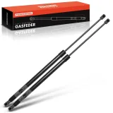 Bremsschlauch Hinterachse beidseitig Frankberg 5481FB0004885