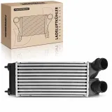 Niedertemperaturkühler, Ladeluftkühler Frankberg 5481FB0015586