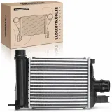 Niedertemperaturkühler, Ladeluftkühler Frankberg 5481FB0015610