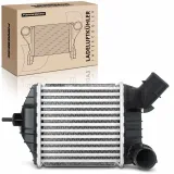 Niedertemperaturkühler, Ladeluftkühler Frankberg 5481FB0015619