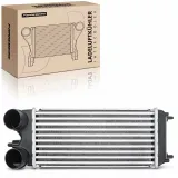 Niedertemperaturkühler, Ladeluftkühler Frankberg 5481FB0015629