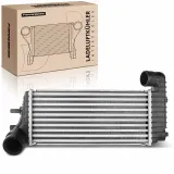 Niedertemperaturkühler, Ladeluftkühler Frankberg 5481FB0015637