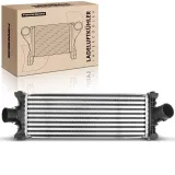 Niedertemperaturkühler, Ladeluftkühler Frankberg 5481FB0015657