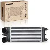 Niedertemperaturkühler, Ladeluftkühler Frankberg 5481FB0015695