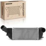 Niedertemperaturkühler, Ladeluftkühler Frankberg 5481FB0015696