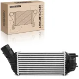 Niedertemperaturkühler, Ladeluftkühler Frankberg 5481FB0015701