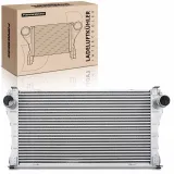Niedertemperaturkühler, Ladeluftkühler Frankberg 5481FB0015748