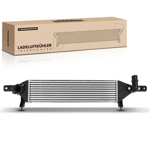Niedertemperaturkühler, Ladeluftkühler Frankberg 5481FB0015846 Bild Niedertemperaturkühler, Ladeluftkühler Frankberg 5481FB0015846