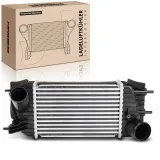 Niedertemperaturkühler, Ladeluftkühler Frankberg 5481FB0015859