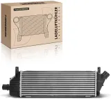 Niedertemperaturkühler, Ladeluftkühler Frankberg 5481FB0015861
