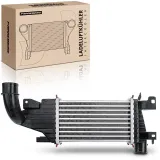 Niedertemperaturkühler, Ladeluftkühler Frankberg 5481FB0015862