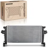 Niedertemperaturkühler, Ladeluftkühler Frankberg 5481FB0015866