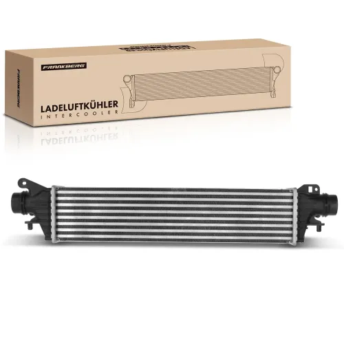 Generator 12 V 12 V Frankberg 5481FB0001873 Bild Generator 12 V 12 V Frankberg 5481FB0001873