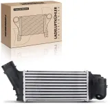 Niedertemperaturkühler, Ladeluftkühler Frankberg 5481FB0015900