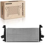 Niedertemperaturkühler, Ladeluftkühler Frankberg 5481FB0015910