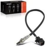 Lambdasonde vor Katalysator Frankberg 5481FB0017329